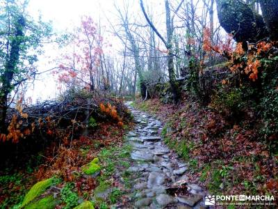 Valle del Ambroz-Sierra de Bejar - Gredos; excursiones;berrea monfrague